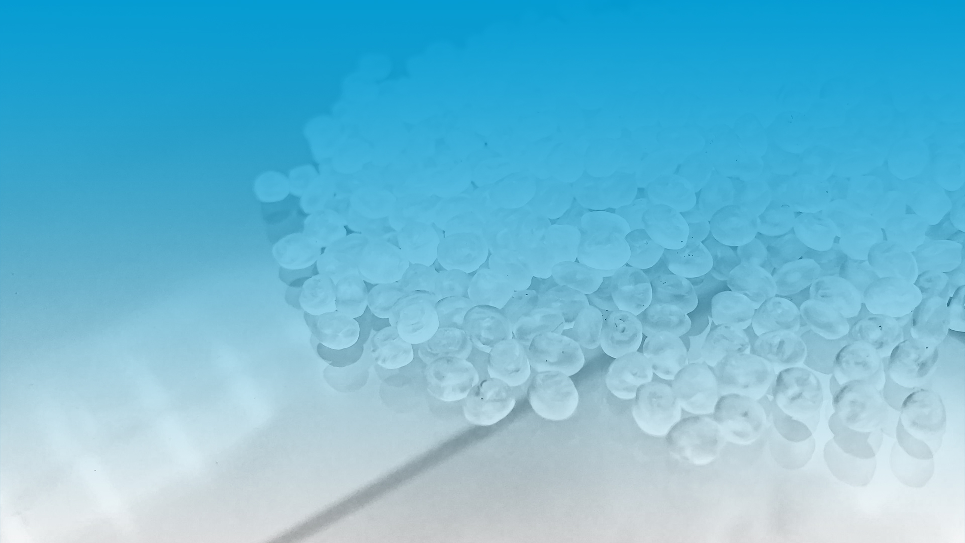 PVC 解决方案专业提供者
